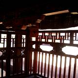 PM09 1001,11059