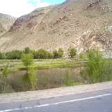 PM09 1001,9807