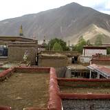 PM09 1001,11798