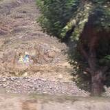 PM09 1001,9816