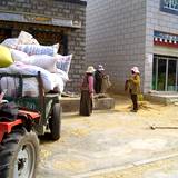 PM09 1001,11778
