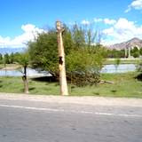 PM09 1001,11164