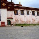 PM09 1001,12055