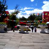 PM09 1001,10383