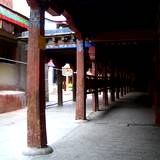 PM09 1001,12069