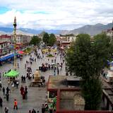 PM09 1001,10249