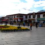 PM09 1001,10028