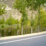 PM09 1001,9811