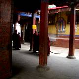 PM09 1001,12061