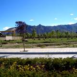 PM09 1001,11186