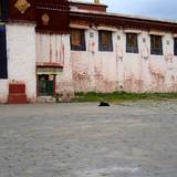 PM09 1001,12054