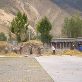 PM09 1001,12174
