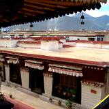 PM09 1001,10116