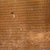PM09 1001,12459
