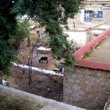 PM09 1001,12028