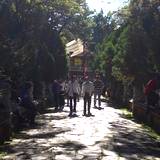 PM09 1001,10504