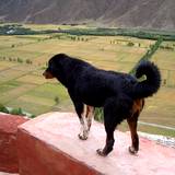 PM09 1001,12822