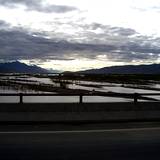 PM09 1001,11230