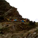 PM09 1001,12773