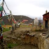 PM09 1001,12733