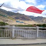 PM09 1001,11432
