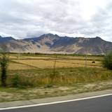 PM09 1001,11240