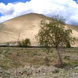 PM09 1001,11455