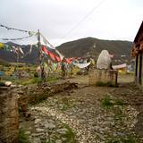 PM09 1001,12731