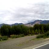 PM09 1001,11237
