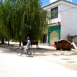 PM09 1001,11427