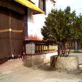 PM09 1001,11284