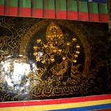PM09 1001,11317