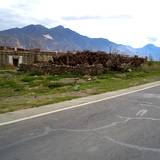 PM09 1001,11258