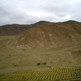 PM09 1001,12781