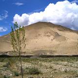 PM09 1001,11457