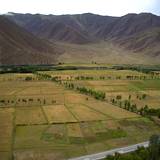 PM09 1001,12789
