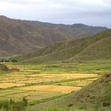 PM09 1001,12737