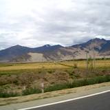PM09 1001,11239