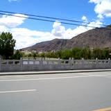 PM09 1001,11423