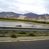 PM09 1001,11252