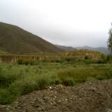 PM09 1001,12677
