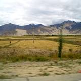 PM09 1001,11241