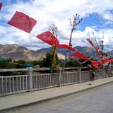 PM09 1001,11433