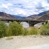 PM09 1001,11445