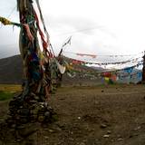 PM09 1001,12684
