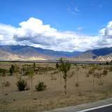 PM09 1001,11381