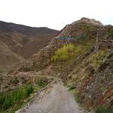 PM09 1001,12786