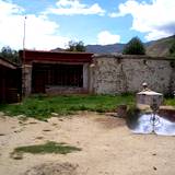 PM09 1001,11484