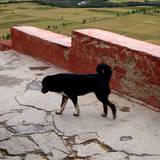 PM09 1001,12814