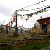 PM09 1001,12741